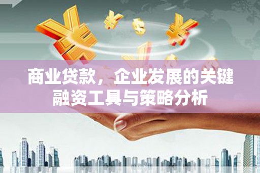 德清商业贷款，企业发展的关键融资工具与策略分析