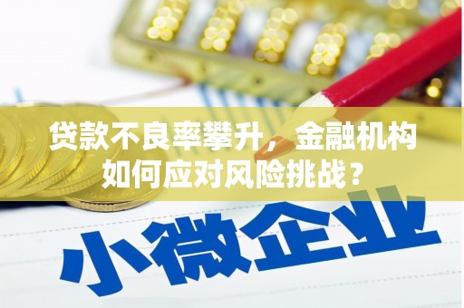 德清贷款不良率攀升，金融机构如何应对风险挑战？