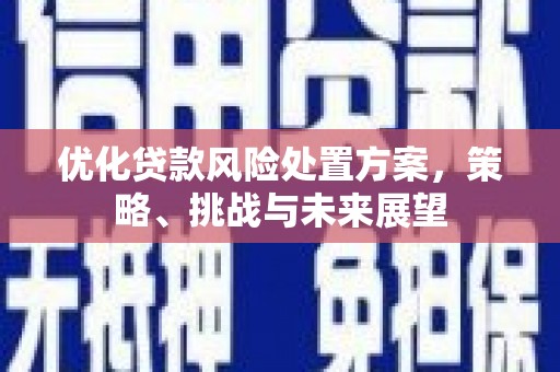 德清优化贷款风险处置方案，策略、挑战与未来展望