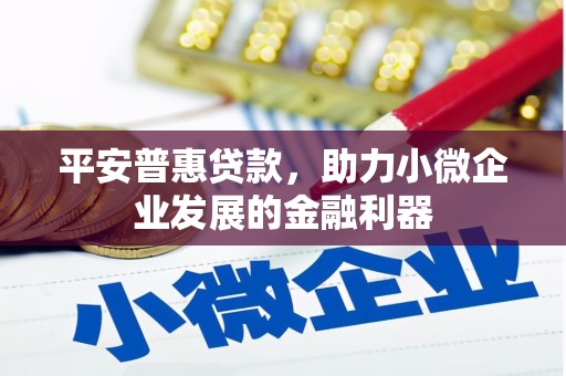 德清平安普惠贷款，助力小微企业发展的金融利器