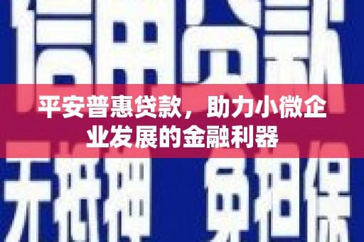 德清平安普惠贷款，助力小微企业发展的金融利器