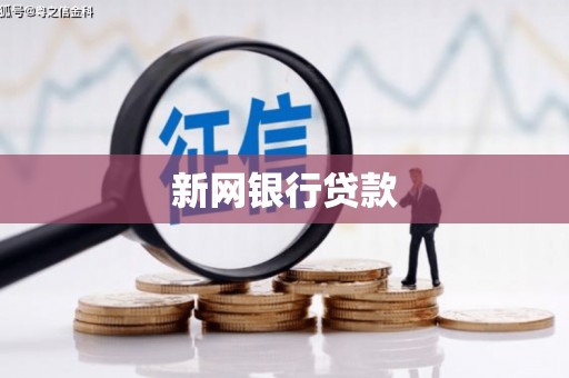 德清新网银行贷款