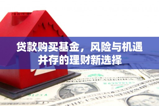 德清贷款购买基金，风险与机遇并存的理财新选择