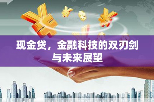德清现金贷，金融科技的双刃剑与未来展望