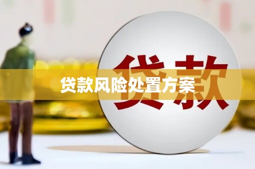 德清贷款风险处置方案