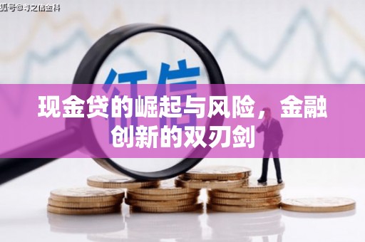 德清现金贷的崛起与风险，金融创新的双刃剑