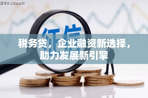 德清税务贷，企业融资新选择，助力发展新引擎