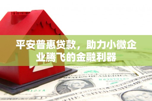 德清平安普惠贷款，助力小微企业腾飞的金融利器