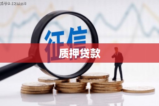 德清质押贷款