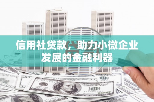 德清信用社贷款，助力小微企业发展的金融利器
