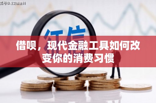 德清借呗，现代金融工具如何改变你的消费习惯