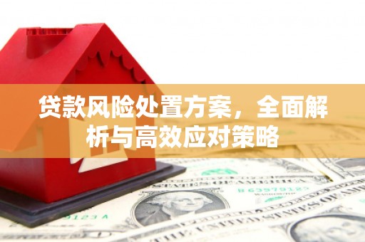 德清贷款风险处置方案，全面解析与高效应对策略