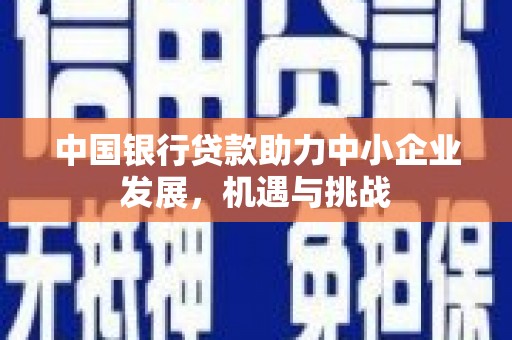 德清中国银行贷款助力中小企业发展，机遇与挑战