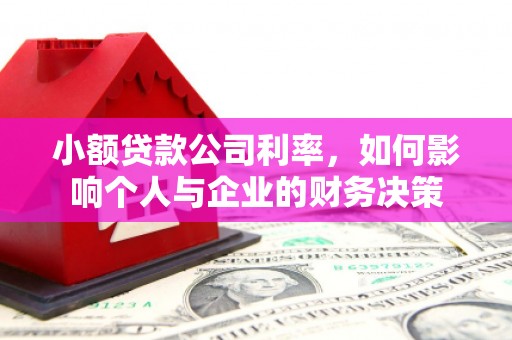 德清小额贷款公司利率，如何影响个人与企业的财务决策