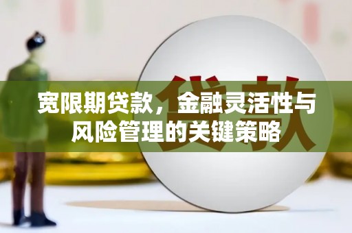 德清宽限期贷款，金融灵活性与风险管理的关键策略