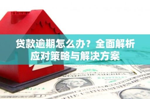 德清贷款逾期怎么办？全面解析应对策略与解决方案