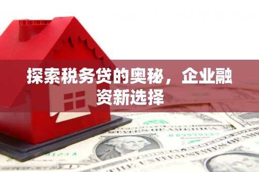 德清探索税务贷的奥秘，企业融资新选择