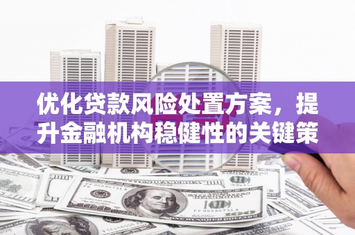 德清优化贷款风险处置方案，提升金融机构稳健性的关键策略
