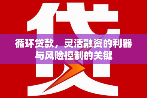 德清循环贷款，灵活融资的利器与风险控制的关键