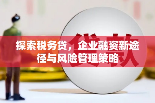 德清探索税务贷，企业融资新途径与风险管理策略
