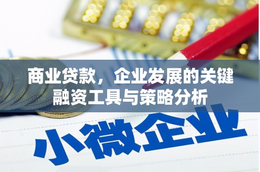 德清商业贷款，企业发展的关键融资工具与策略分析