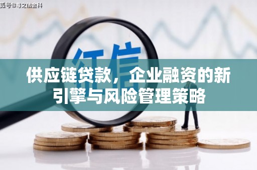 德清供应链贷款，企业融资的新引擎与风险管理策略