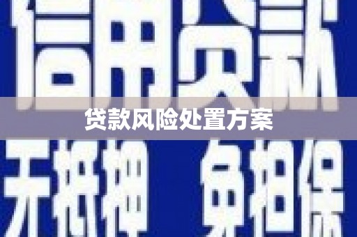 德清贷款风险处置方案