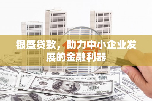 德清银盛贷款，助力中小企业发展的金融利器