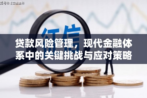 德清贷款风险管理，现代金融体系中的关键挑战与应对策略