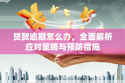 德清贷款逾期怎么办，全面解析应对策略与预防措施