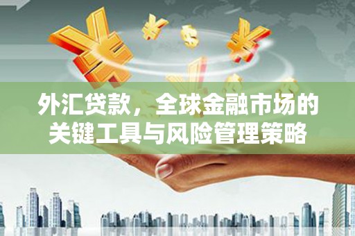 德清外汇贷款，全球金融市场的关键工具与风险管理策略
