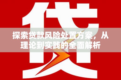 德清探索贷款风险处置方案，从理论到实践的全面解析