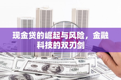 德清现金贷的崛起与风险，金融科技的双刃剑