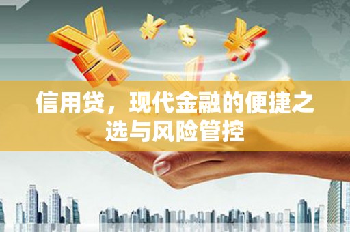 德清信用贷，现代金融的便捷之选与风险管控