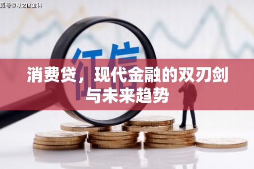 德清消费贷，现代金融的双刃剑与未来趋势