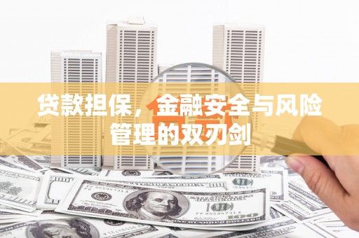 德清贷款担保，金融安全与风险管理的双刃剑