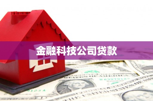 德清金融科技公司贷款