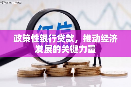 德清政策性银行贷款，推动经济发展的关键力量