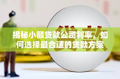 德清揭秘小额贷款公司利率，如何选择最合适的贷款方案