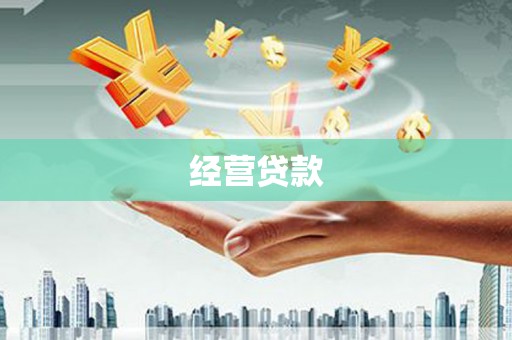 德清经营贷款