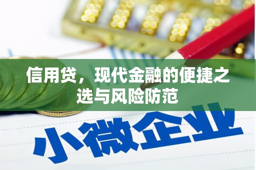 德清信用贷，现代金融的便捷之选与风险防范