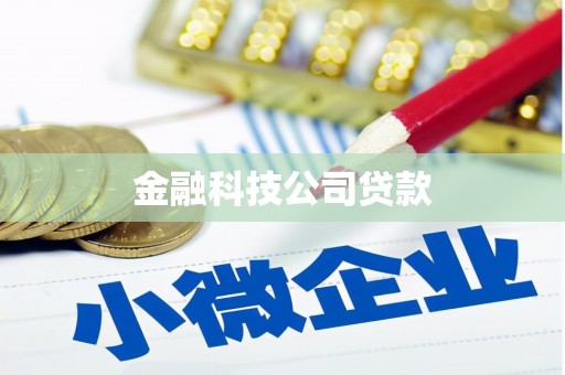 德清金融科技公司贷款