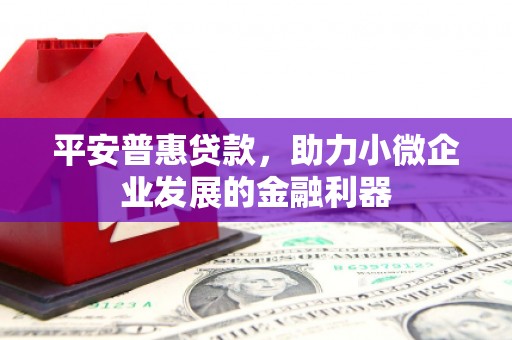 德清平安普惠贷款，助力小微企业发展的金融利器