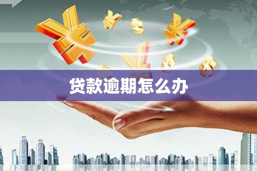 德清贷款逾期怎么办