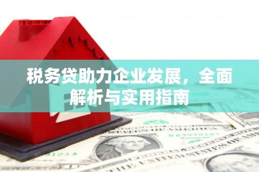 德清税务贷助力企业发展，全面解析与实用指南