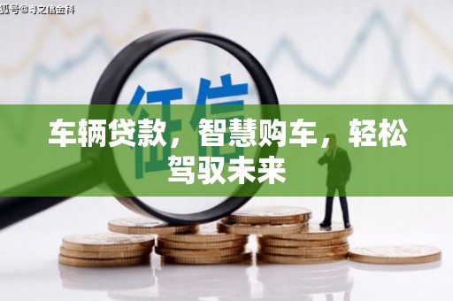 德清车辆贷款，智慧购车，轻松驾驭未来