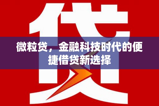德清微粒贷，金融科技时代的便捷借贷新选择