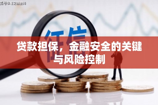 德清贷款担保，金融安全的关键与风险控制
