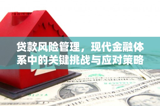 德清贷款风险管理，现代金融体系中的关键挑战与应对策略