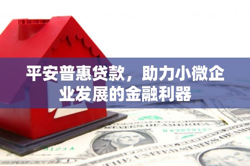 德清平安普惠贷款，助力小微企业发展的金融利器